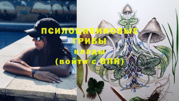 спайс Кострома