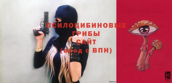 крисы Куйбышев