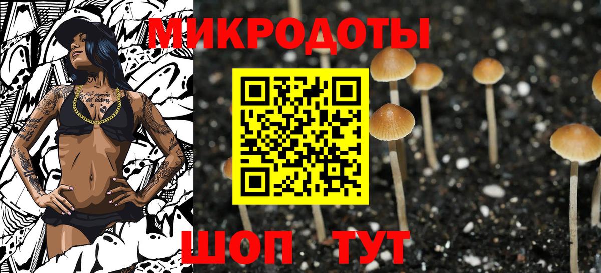Псилоцибиновые грибы MAGIC MUSHROOMS Шатура