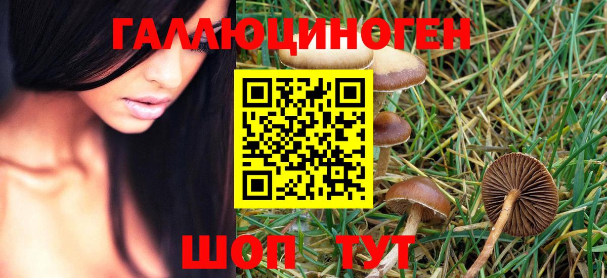 Псилоцибиновые грибы Psilocybe  Галлюциногенные грибы GOLDEN TEACHER  Шатура 