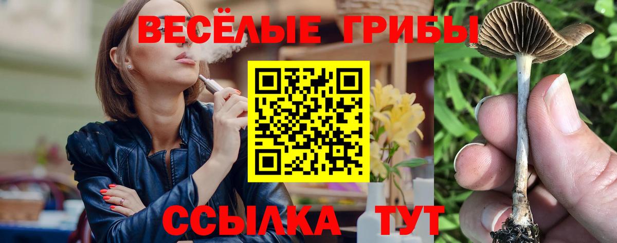 Псилоцибиновые грибы Psilocybine cubensis  закладка  Вход с VPN  Шатура  Псилоцибиновые грибы мицелий 