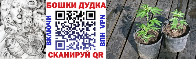 OMG как зайти  Шатура  МАРИХУАНА марихуана  где купить наркоту 